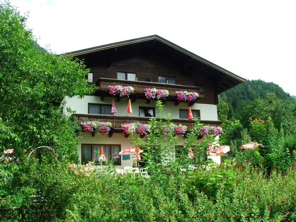 Pension Wildental Санкт-Мартин-бай-Лофер Экстерьер фото